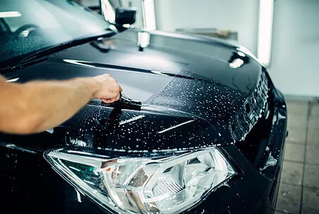 Paint Protection